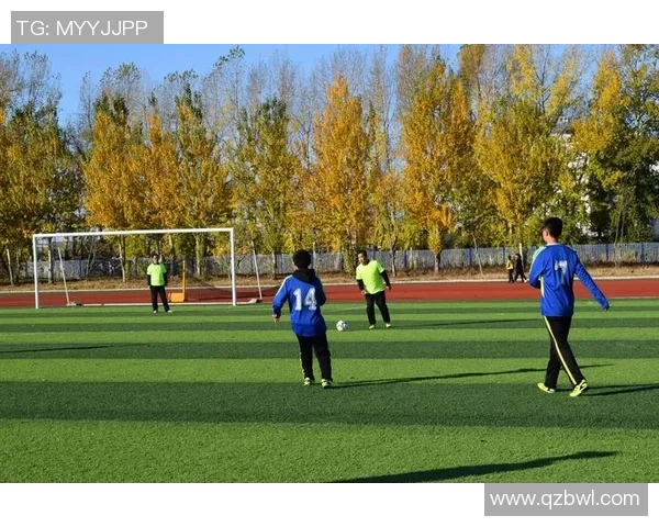 功利足球对青少年成长与足球文化传承的深远危害分析