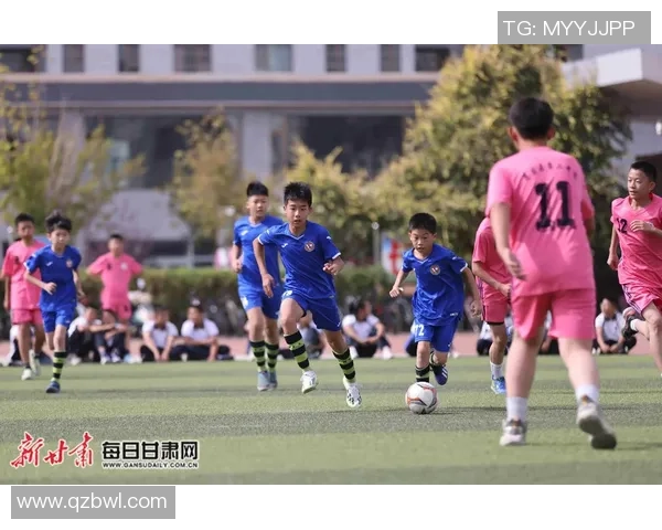 北京排球队比赛经验分享与成长之路的深度探讨与分析